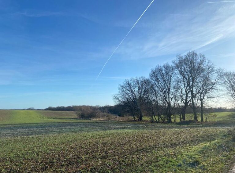Ein Landschaftspflegehof für die Börde