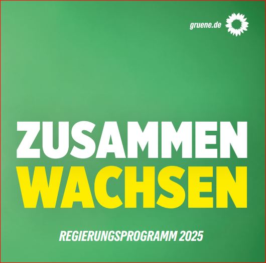 Wahlprogramm Bundestagswahl 2025